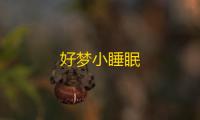 好梦小睡眠